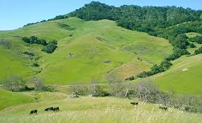 Green hills in San Luis Obispo