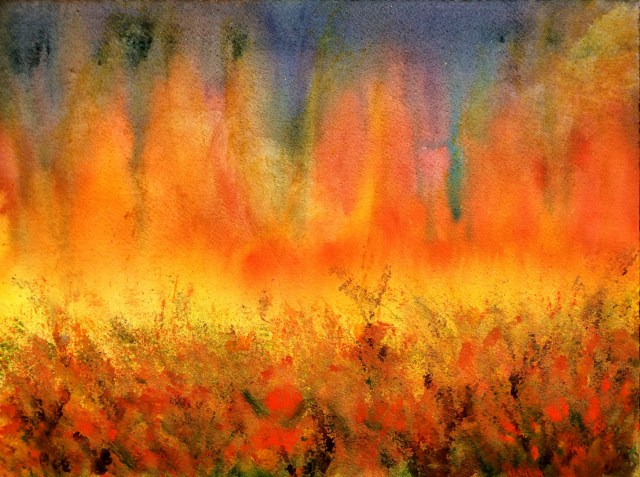 Flowers reflections in the firmament 