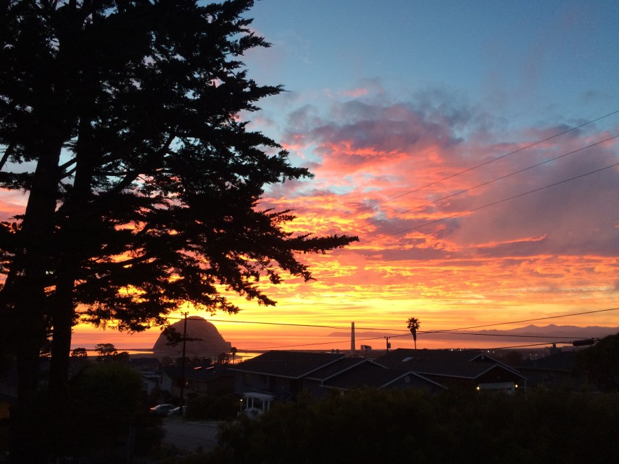 Morro Bay, view from our treehouse in Lothlorien